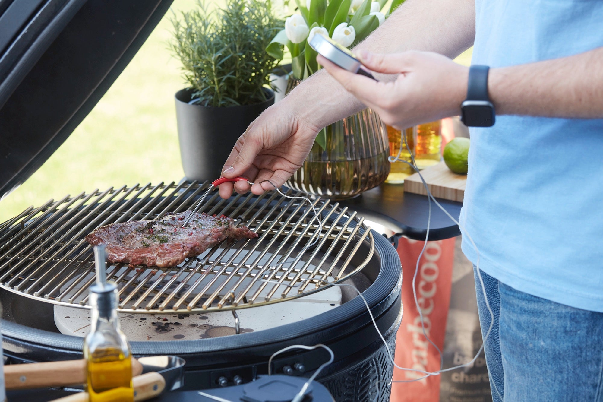 Bbq grill steak best sale